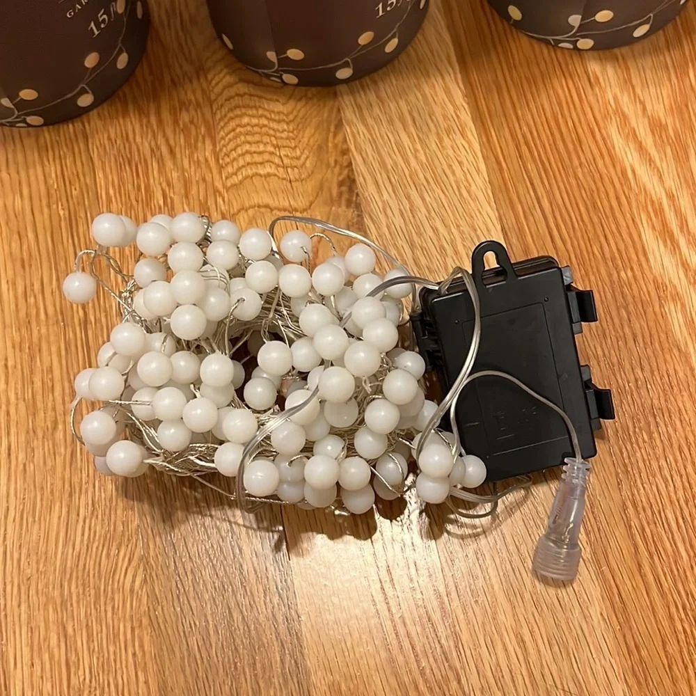NWT Anthropologie Terrain Stargazer Snowberry Garland 15’